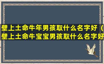 壁上土命牛年男孩取什么名字好（壁上土命牛宝宝男孩取什么名字好 🌸 ）